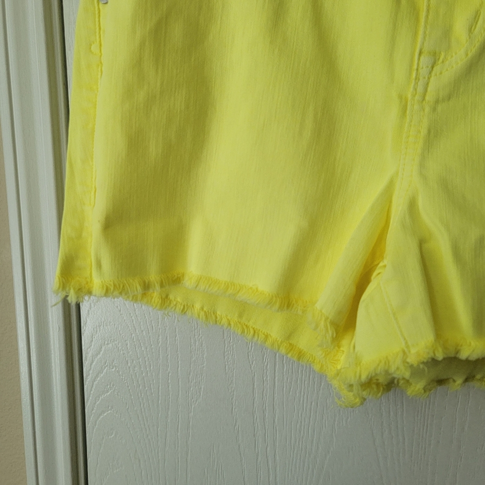 Torrid Denim Shorts - Picture 8 of 9